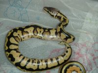 DSCN2558.jpg