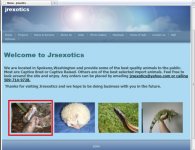 jrsexoticsRhino.jpg