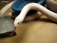 IMG_6678.jpg