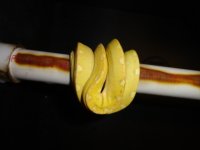 DSC00647.JPG
