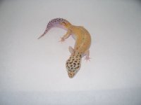 pics 020.jpg