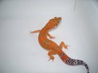 pics 003.jpg