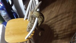 20150110_195038.jpg