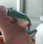 20130908_175600.jpg