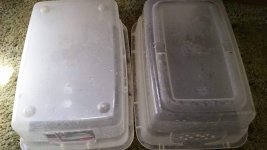 IMG_85057045044259.jpeg