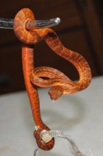 DSC_0076.jpg