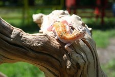IMG_0167.jpg