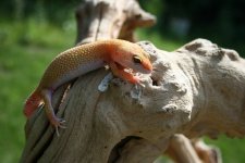 IMG_0168.jpg