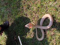 IMG_1538.jpg
