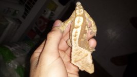 20141130_212156.jpg