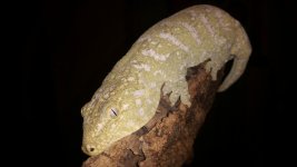 20150213_220845.jpg