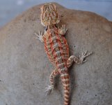 CSC_0281.jpg