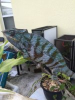 IMG_2050.jpg