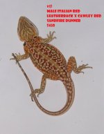 1_Male_Italian_Red_Leatherback_x_Cawley_Red_Sandfire_Dunner_450.jpg