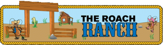 TRR_Banner_2.gif