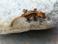 2015-03-29 17.09.53.jpg