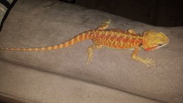 20150415_150644.jpg