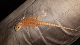 20150415_152852.jpg