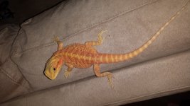 20150415_154053.jpg