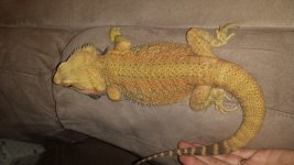 20150415_154947.jpg