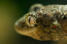 DSC_0173.jpg