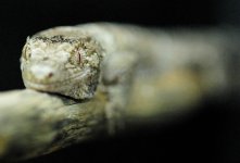 DSC_0169.jpg