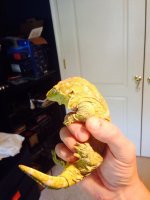 image.jpg