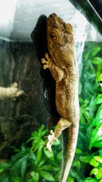 20150129_114354.jpg