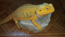 20150316_101355.jpg