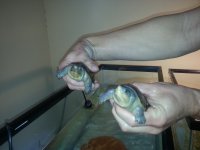1418581376533.jpg