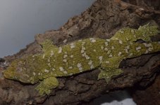 DSC_2418.jpg