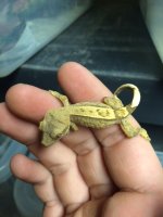gecko 4.JPG
