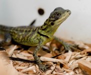 DSC_0144.jpg
