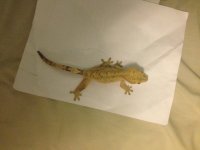 IMG_1319.jpg