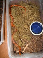 IMG_8775.jpg