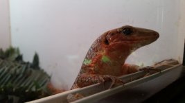 20150318_153519.jpg