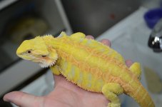 DSC_7378.jpg