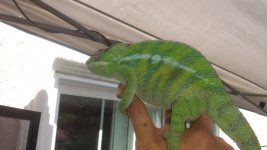 20140712_150530.jpg