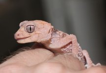 hypo_amyae_04_16_2015.jpg