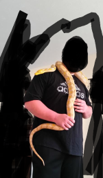 Untitled.png
