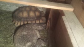 20150505_235108.jpg