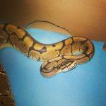 InstagramCapture_64511580-7398-4b69-ab92-81d159ee82db_jpg.jpg