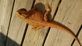 20150505_101409.jpg