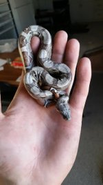 unnamed-5.jpg