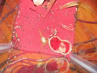 DSCN0089.jpg