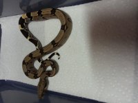 20150226_003846.jpg