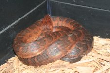 IMG_9284.jpg