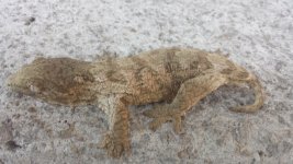 20150404_193305.jpg