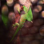 IMG_2575.jpg