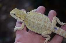 DSC_6436.jpg